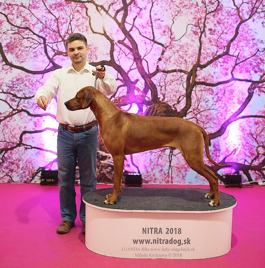 08.04.2018 cacib nitra ozzy