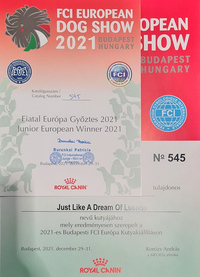 Daisy europeanjuniorwinner2021 diplom