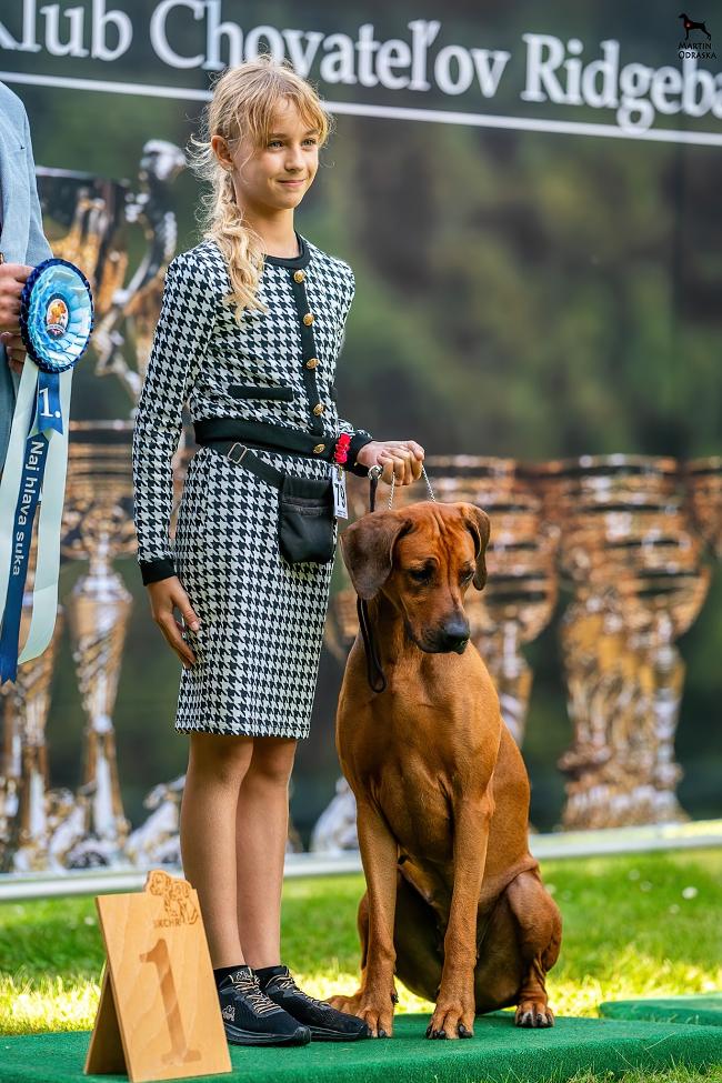 0 w 444190692 10229186850408322 264931838088381382 n