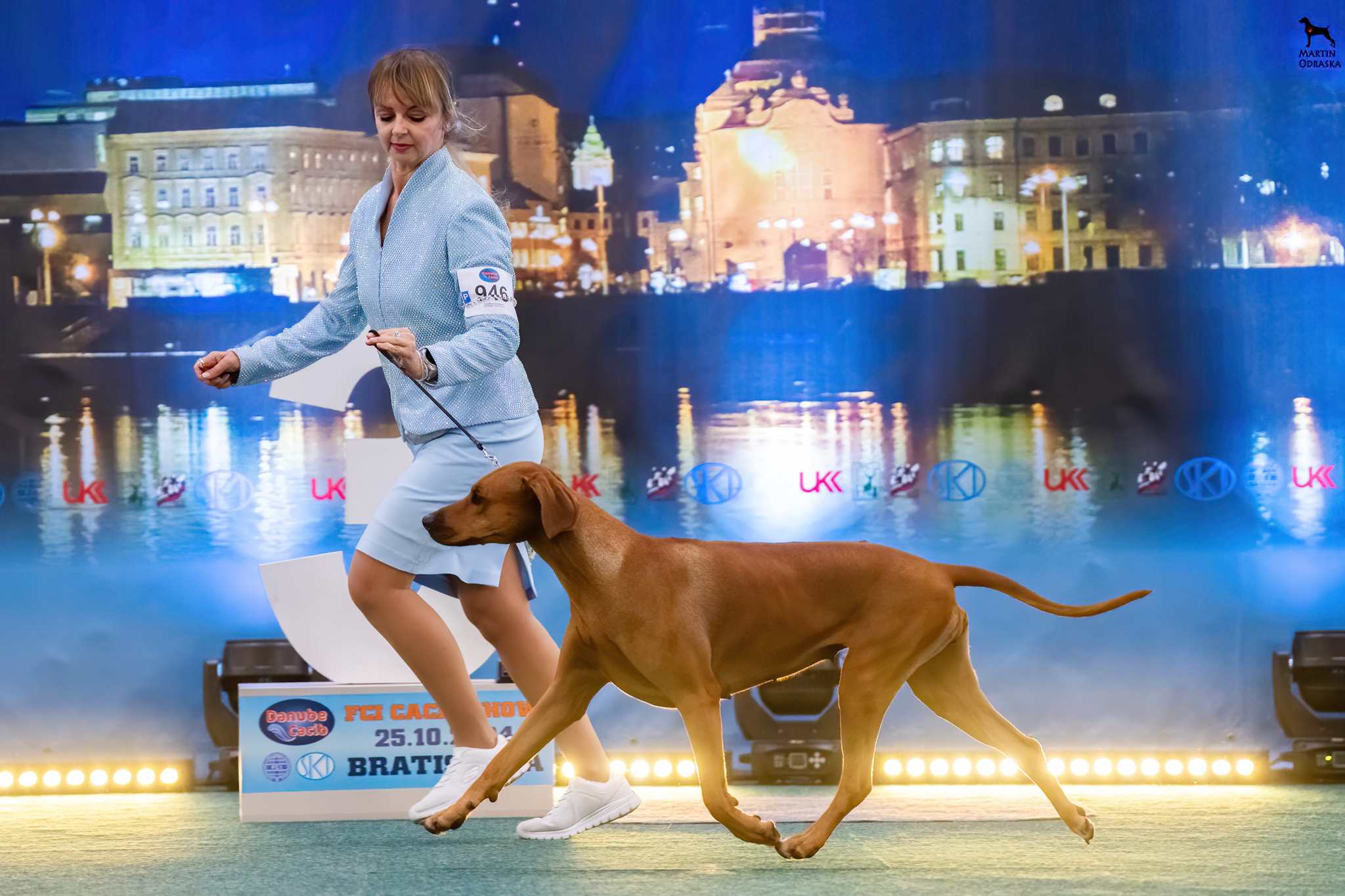 0 daisy 3years after1st litter 20241025