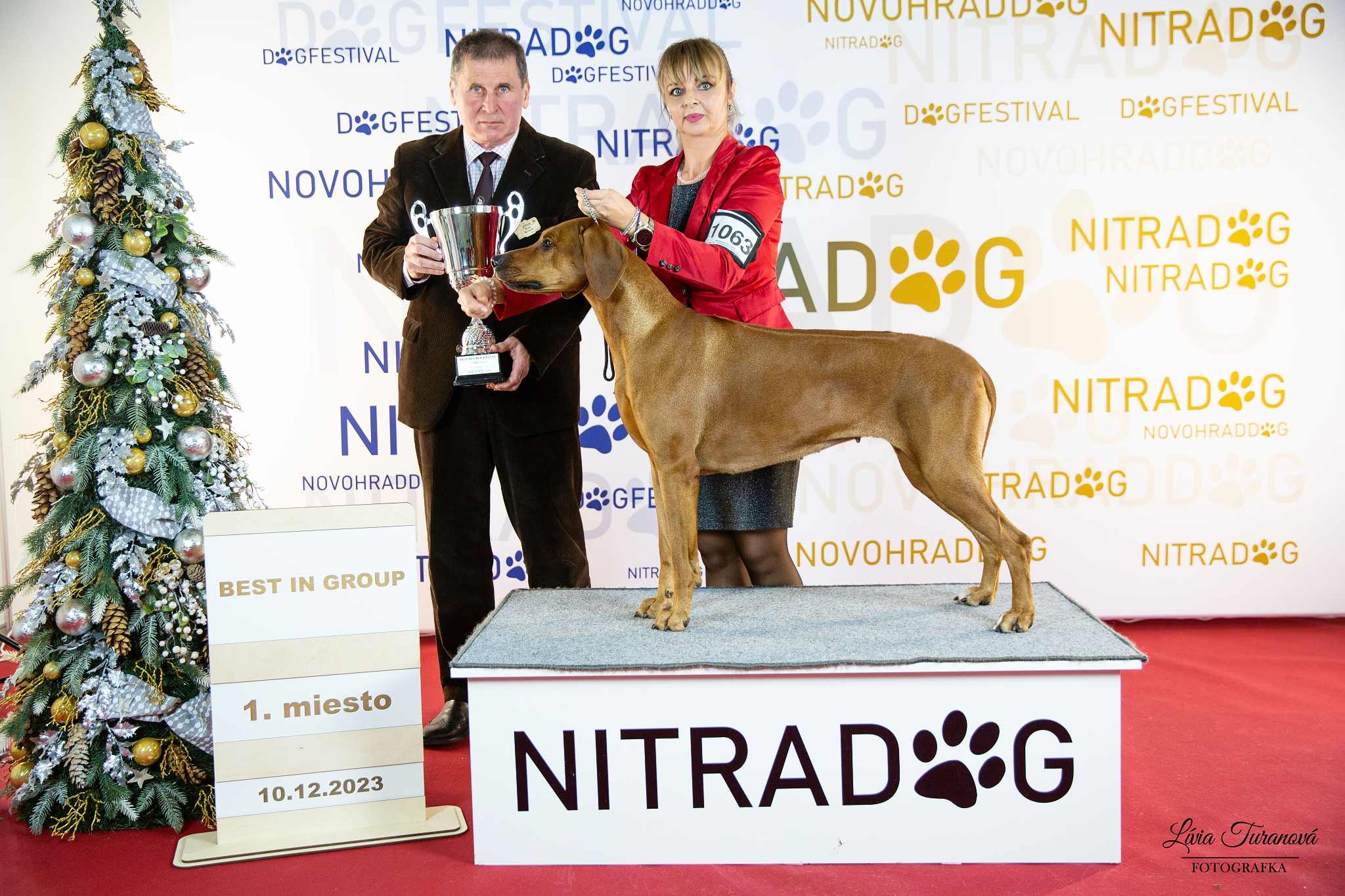 NR10.12.2023 daisy IMG 3806w