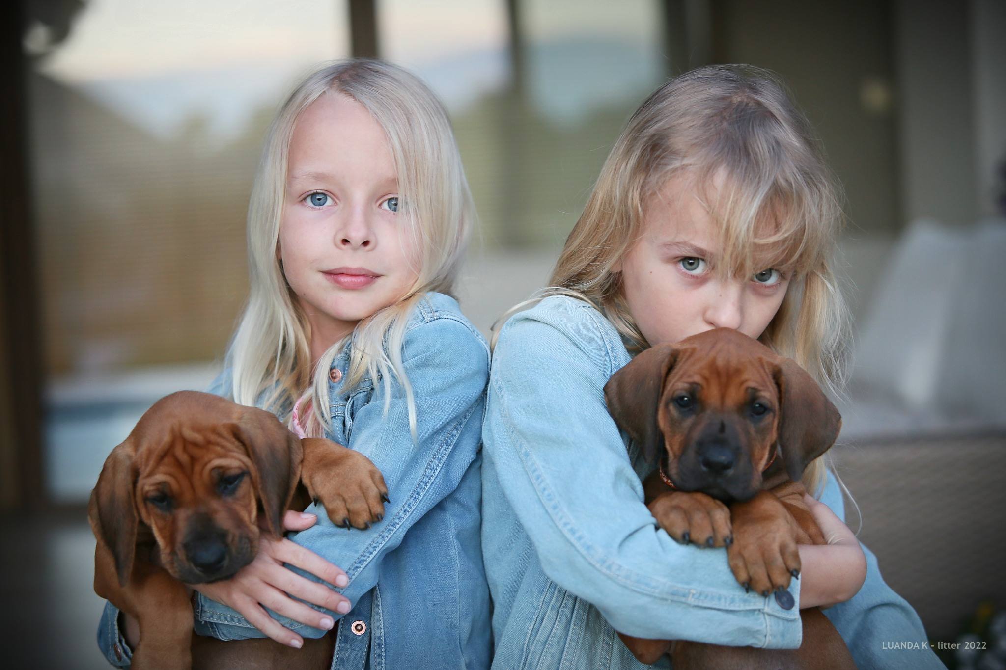 Dôležité informácie, ktoré treba vedieť, kým&hellip;