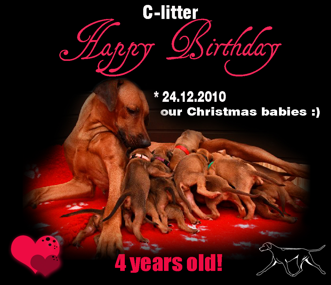 c-litter-Happy-birthday-4yrs copy