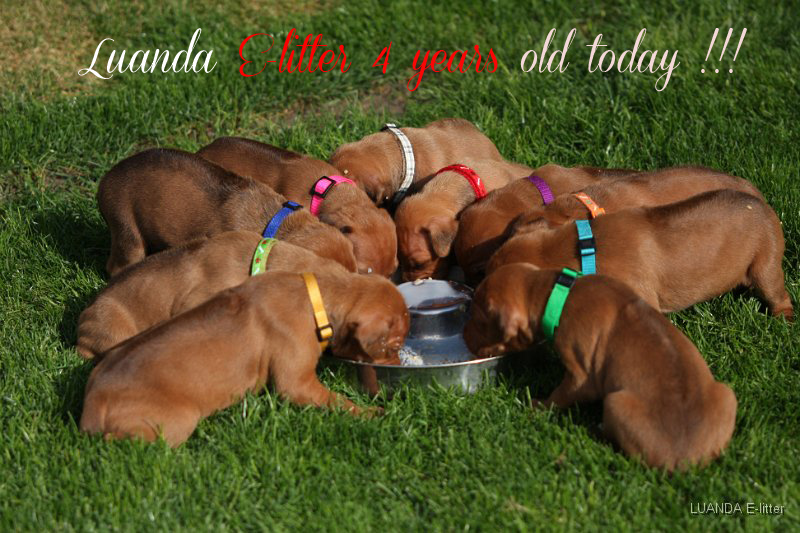 e litter 4years old
