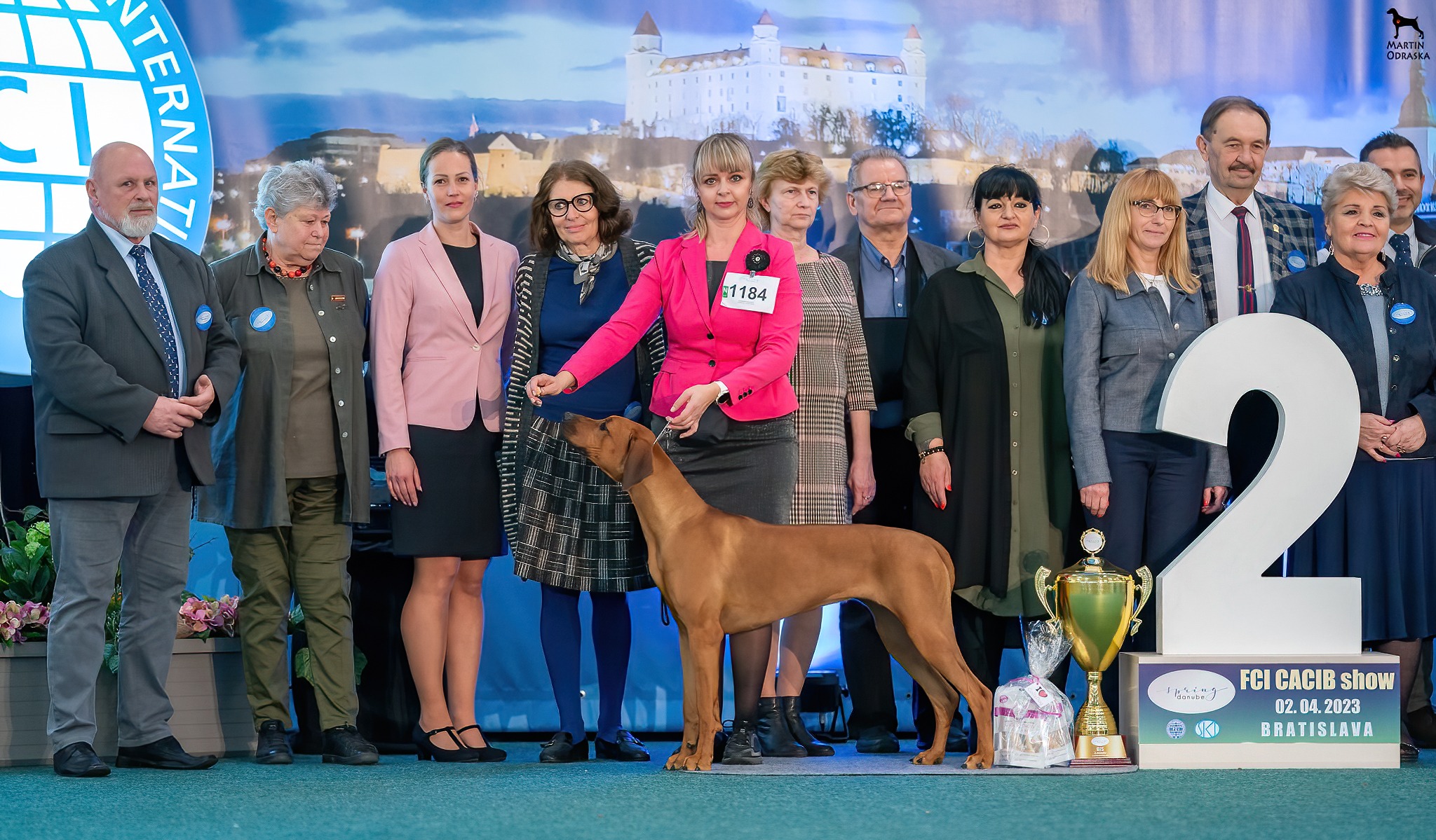 res Best in show Kilimajaro Rain of Luanda 11 months