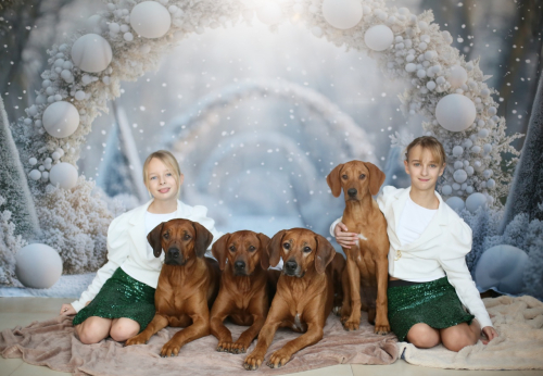christmas-2024-family-photo-img_7437