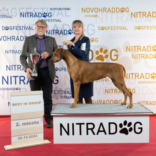 christmascup-nitra-12-2024-big2-jbp_1228