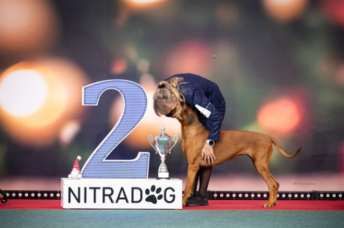 christmascup-nitra-12-2024-big2