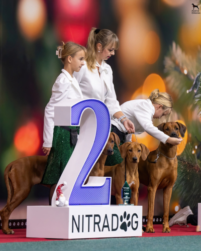 christmascup-nitra-breeders-group-withsophie22.12.2024