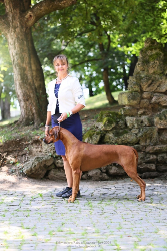 cib-velka-ida-bob-big6-img_7540