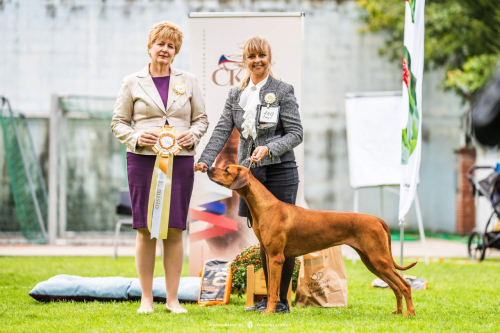 ckrr-24.09.2023-rainy--class-winner-forbreeders-0767