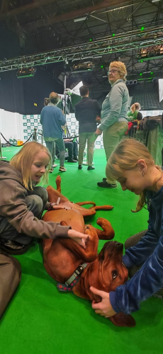 crufts-behind-the-scene_10.03.2024_173728