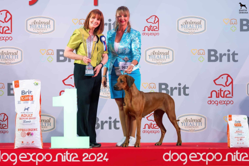 dogexpo-nitra-06-2024-rainy-final-big1-