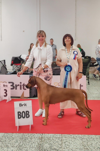 dogexpo-nitra-06-2024