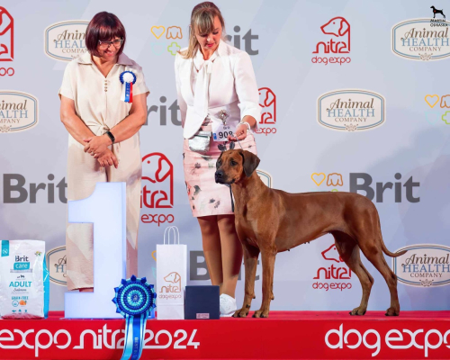 dogexpo-nitra-june2024-rainy-final-big1