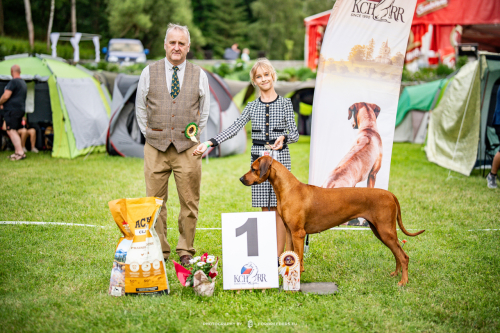 kchrr-june2024-juniorhandling-winner-forbreeders-1974