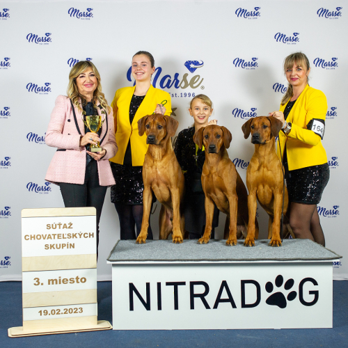 nitradog19.02.2023-best-breeders-group_jbe5208