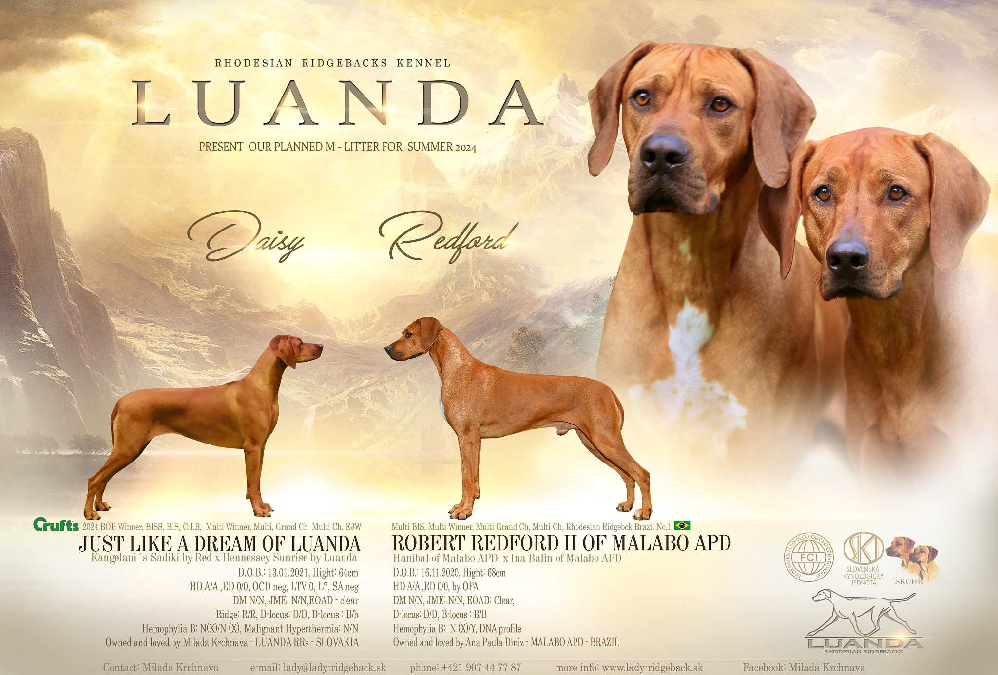 Daisy Redford M litter2024 w