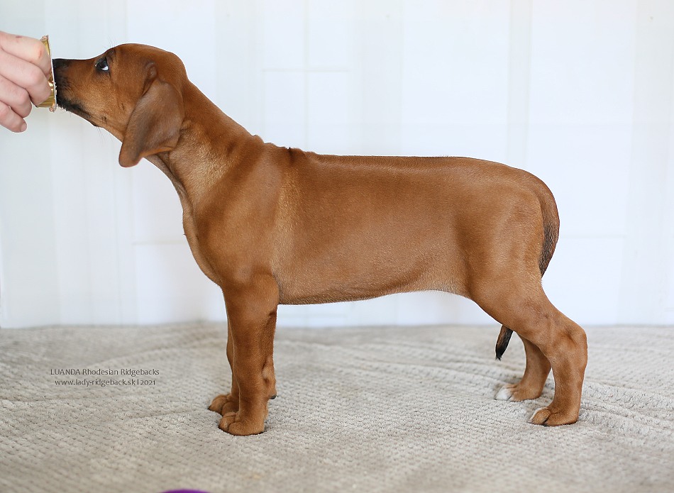 00 lila IMG 2383 web