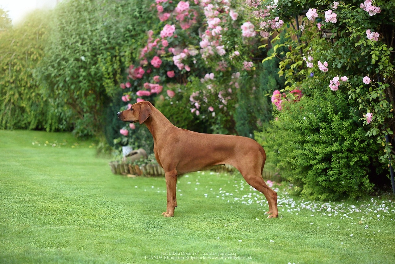 00daisy 3years old IMG 6672 w