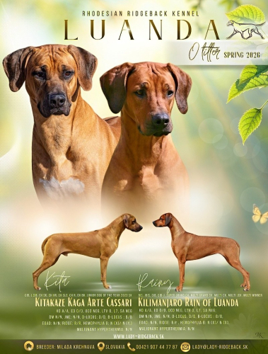 O-litter 2026