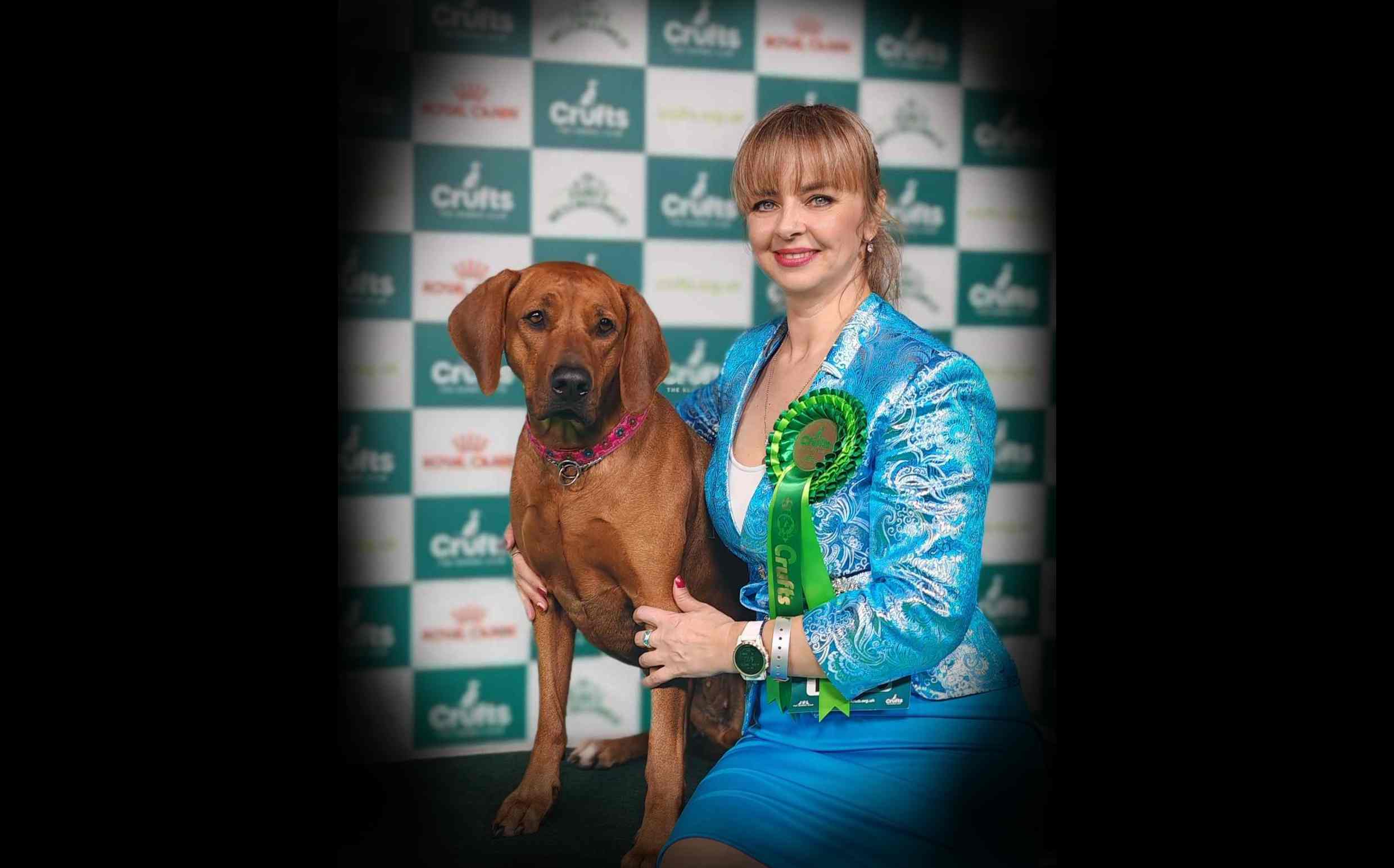 JUST LIKE A DREAM OF LUANDA at the World´s Greatest Show - CRUFTS 2024 WON IT ALL !!! BEST OF BREED - entry 251 Rhodesian Ridgebacks