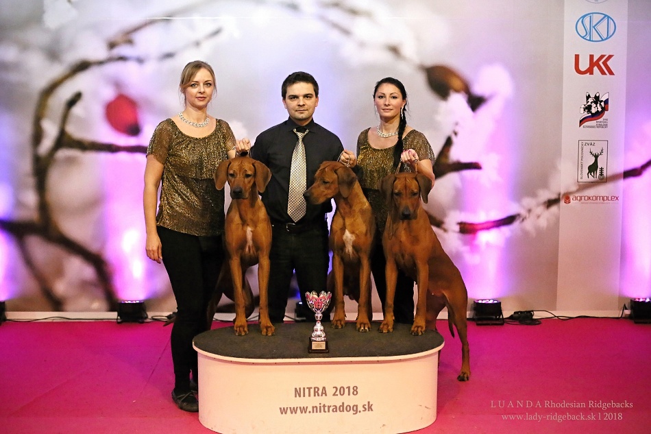 11.02.2018 Nitra breeders group2 web