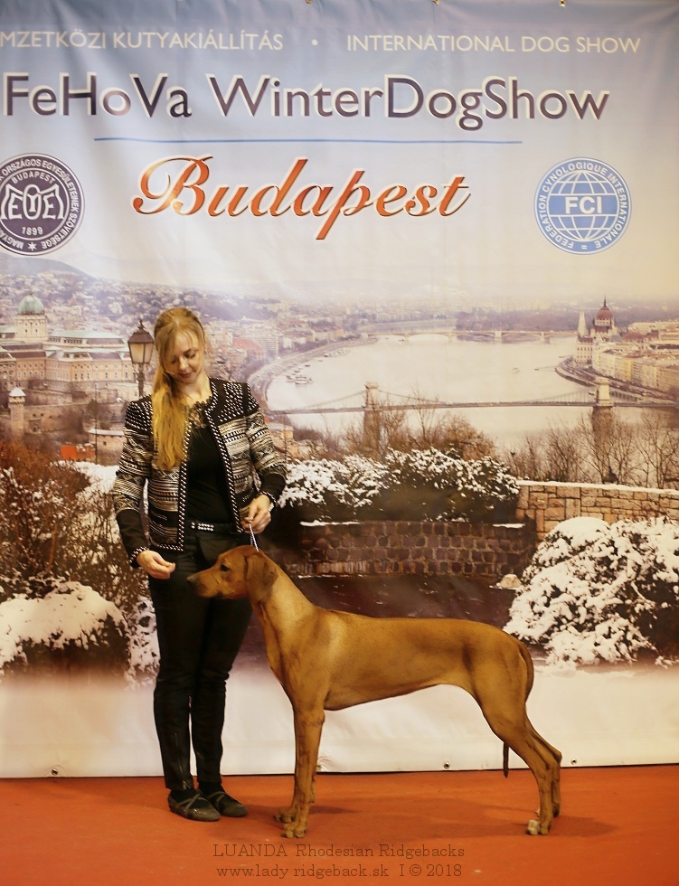 Fehova budapest nessy Feb.2018