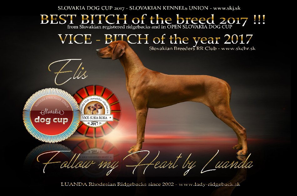 elis VICE BITCH SKCHR2017