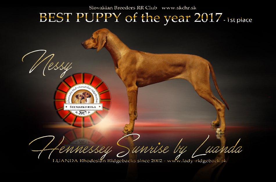 nessy best PUPPY 2017