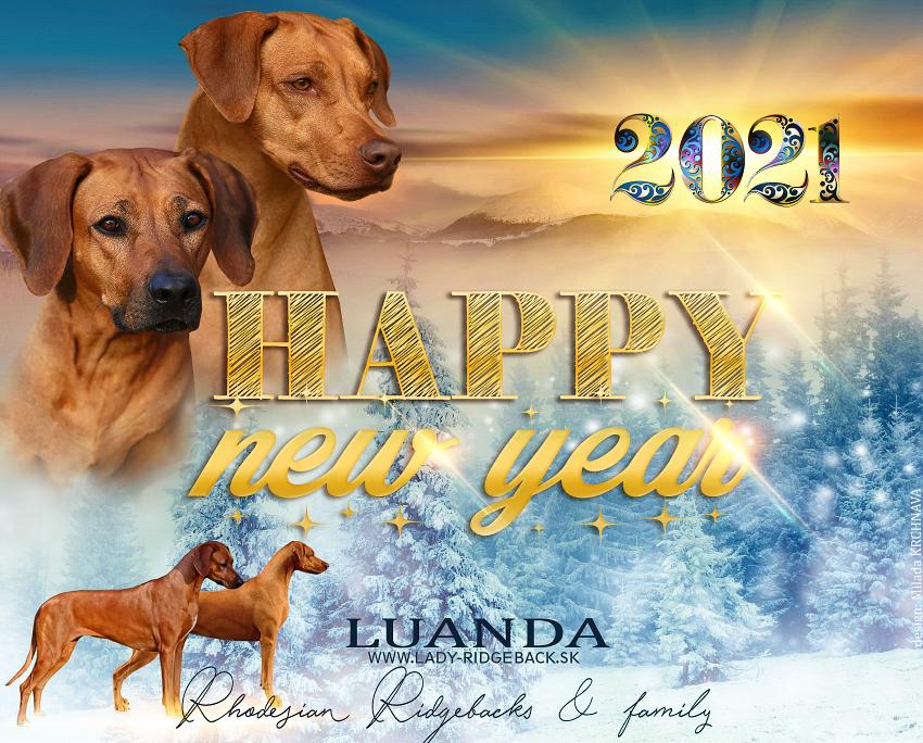 LUANDA PF2021 web