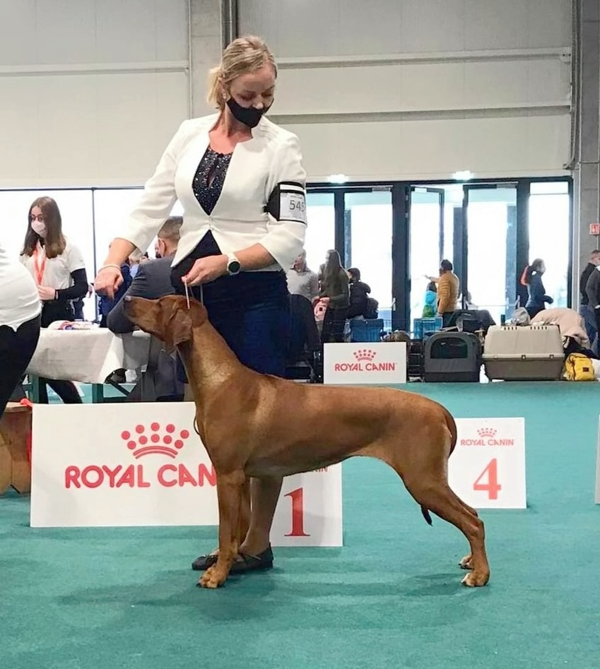 Daisy europeanjuniorwinner2021