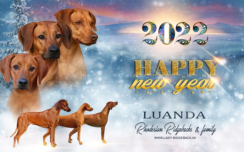 new year Pf2022 web