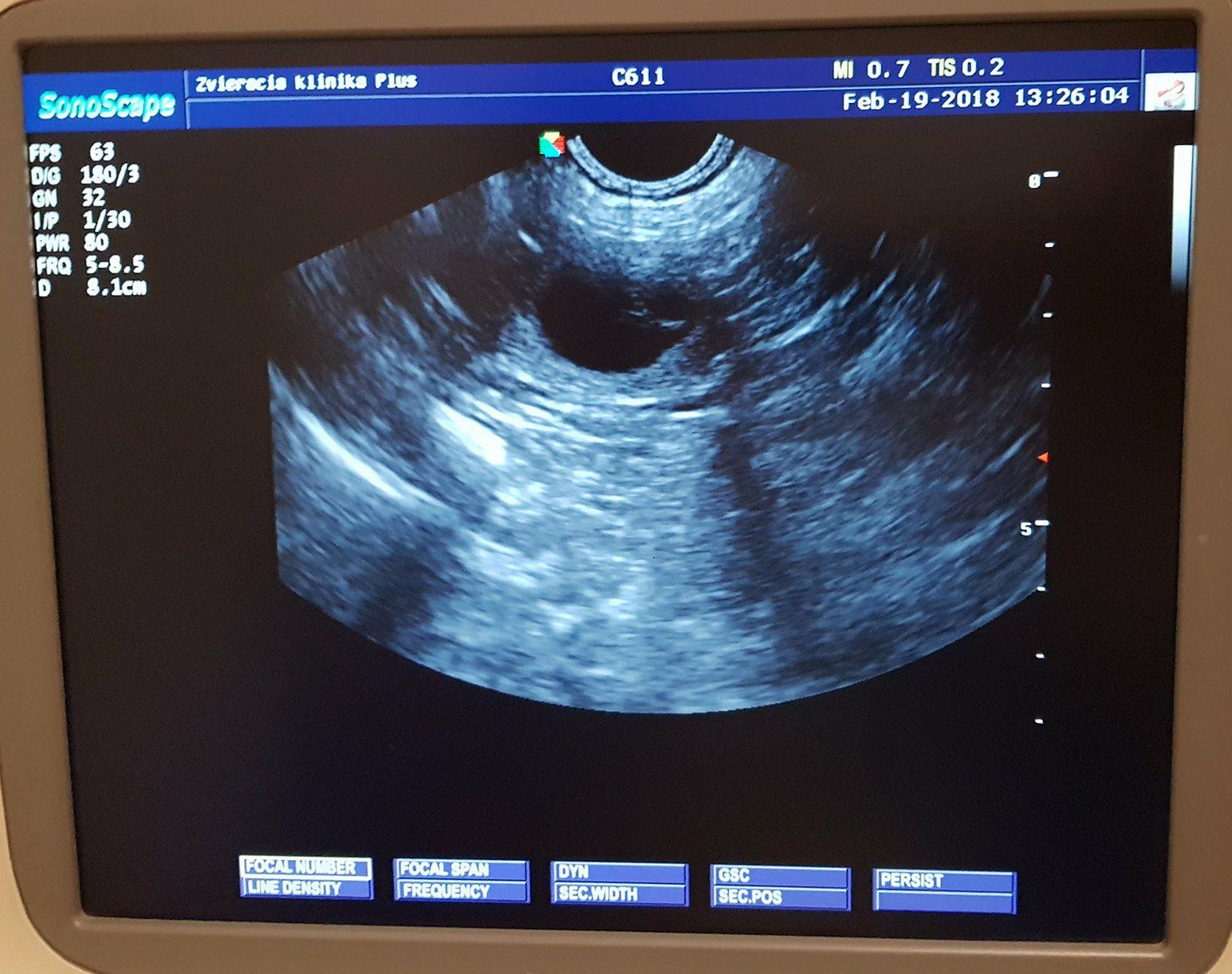 00 sono19.02.2018