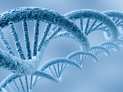 dna genetika small