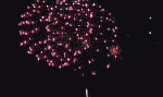 gif bestpage sk 30