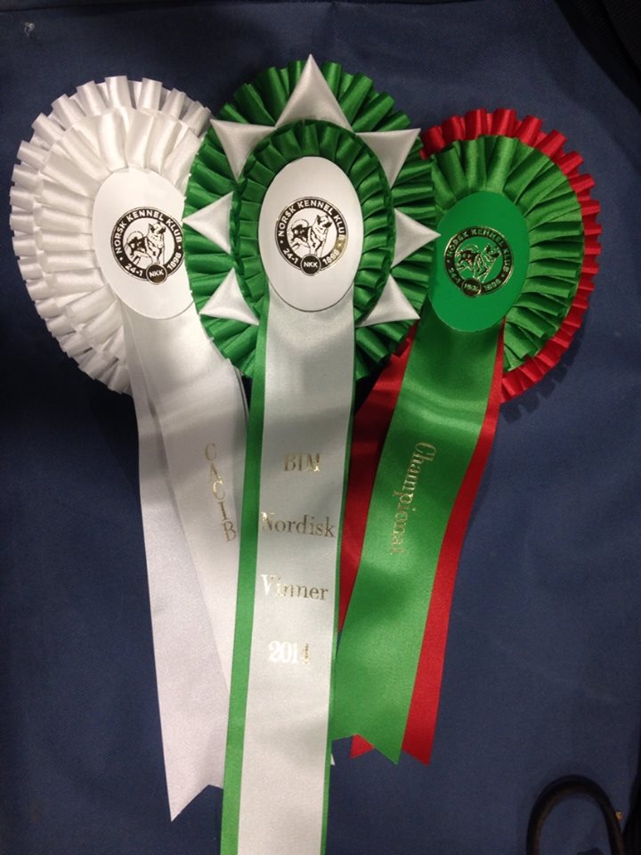 zoe-nrw-winner-ch-10-2014