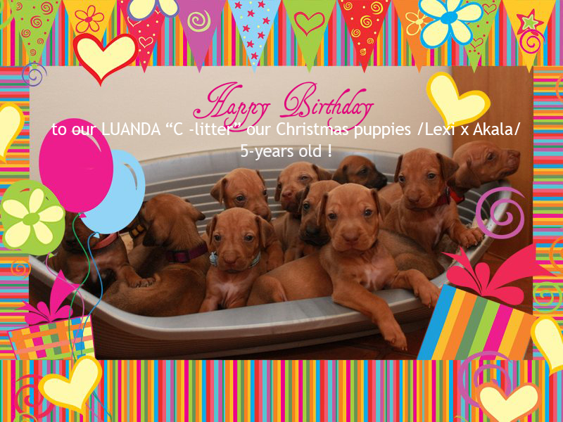 c litter 5years