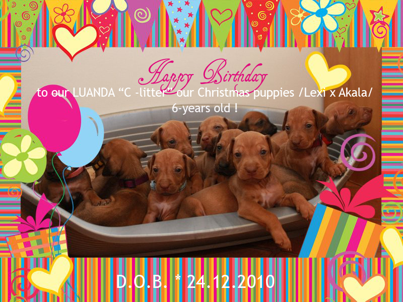 c litter 6years