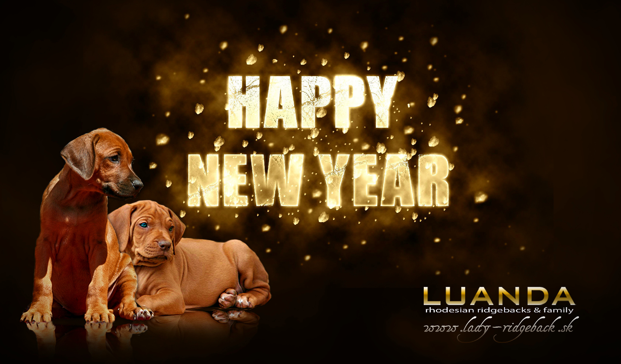 luanda Happy New Year 2018