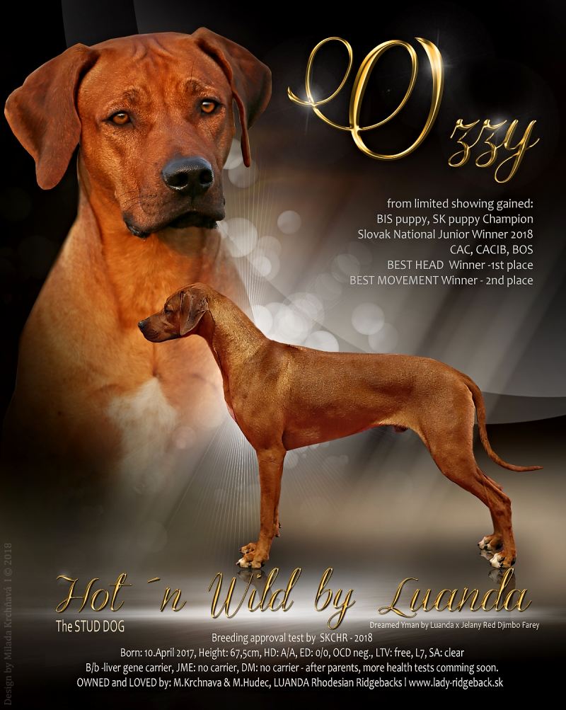 Ozzy 18months 2018 ad 01
