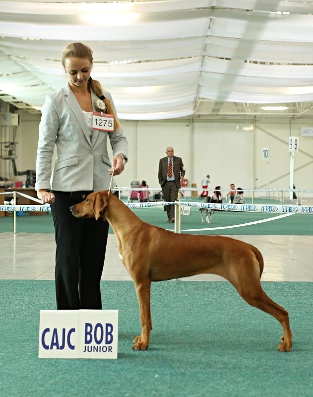 24 25.10.2015 winnie cacib ba