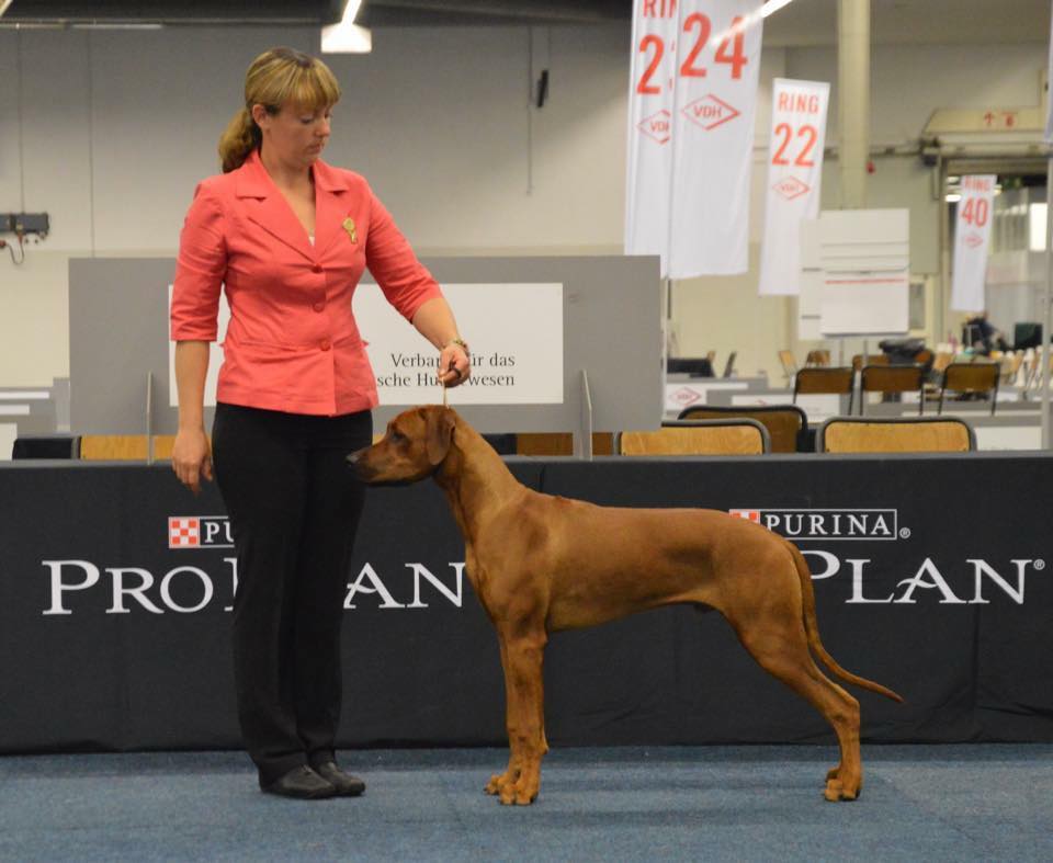 Cubi okt2015 best pupp dortmund