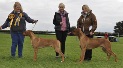 woody oct2015 Best dogs