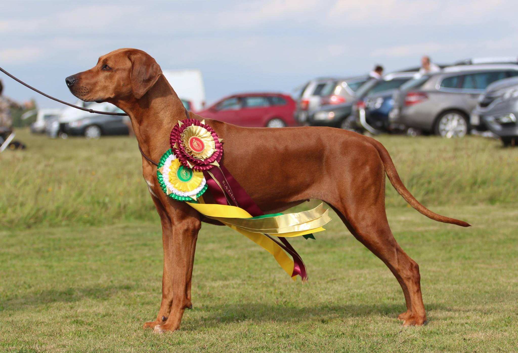zoe sept2016 champ